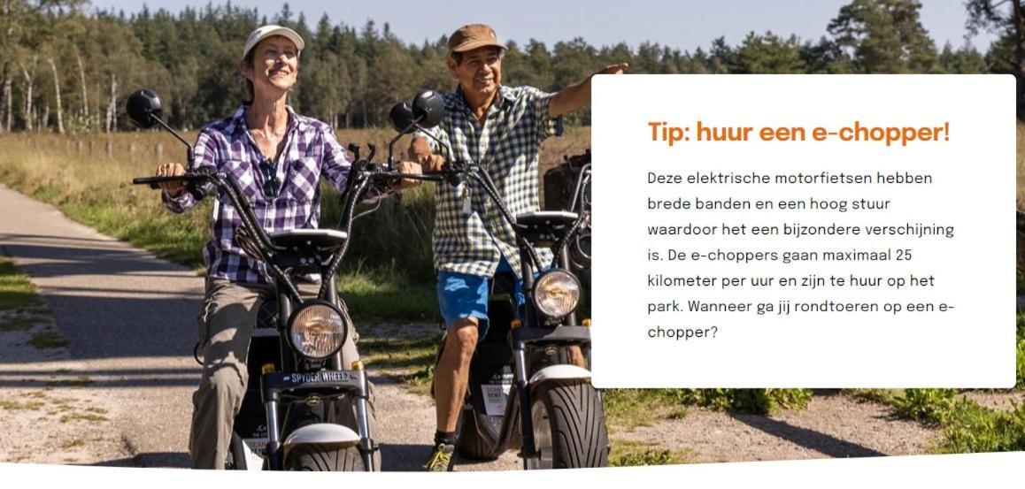 Diessen 2 -3 Persoons Chalet In Bosrijk Park Kempenbos-Duc De Brabantヴィラ エクステリア 写真